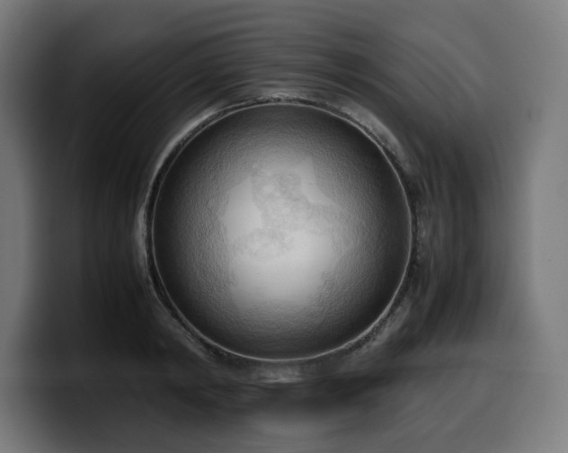 X0000100480798200806131229