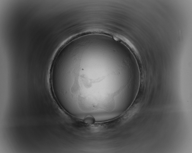 X0000100480799200806131229