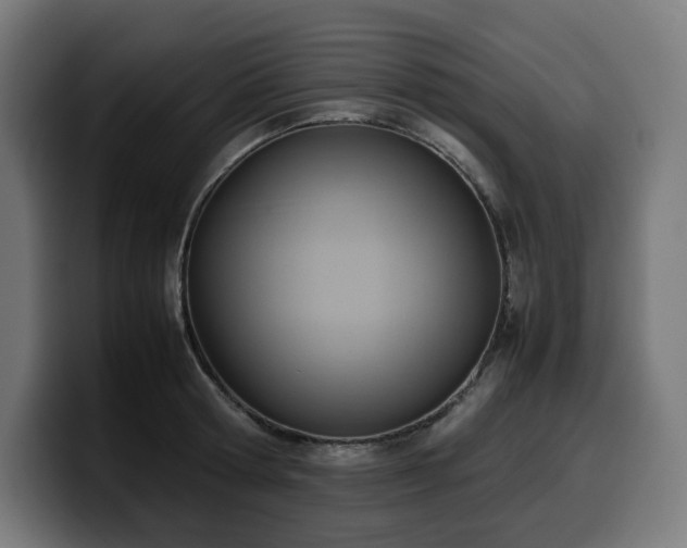 X0000100480802200806131229