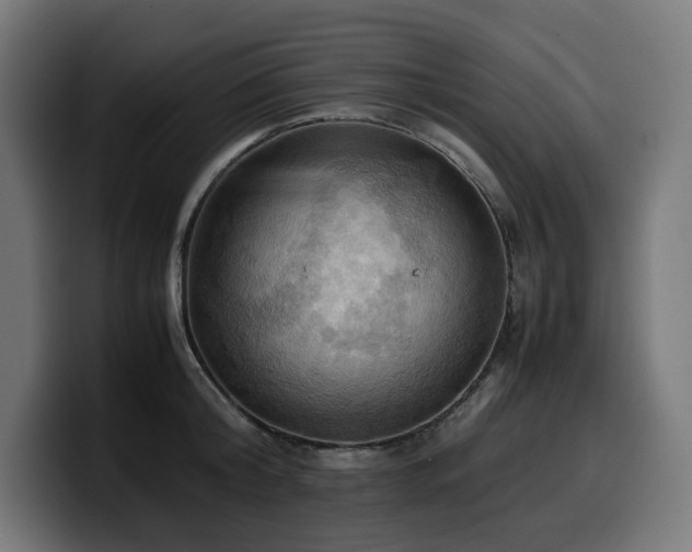 X0000100480804200806131229