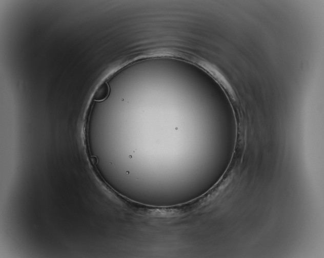 X0000100480805200806131229