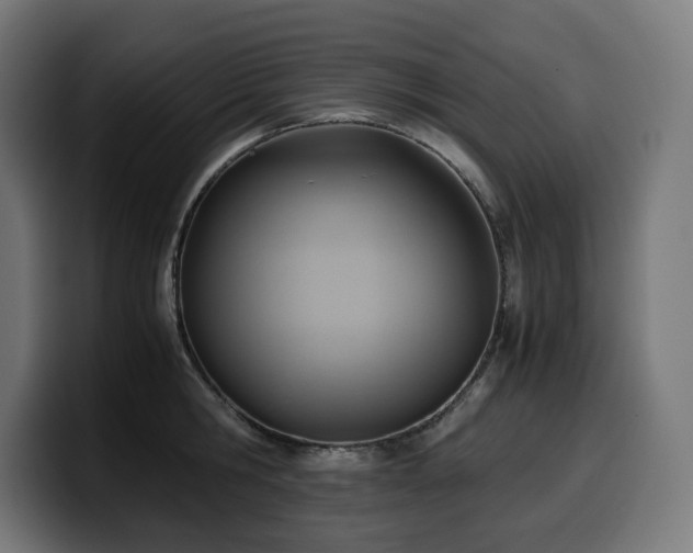 X0000100480806200806131229