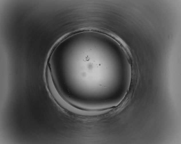 X0000100480807200806131229