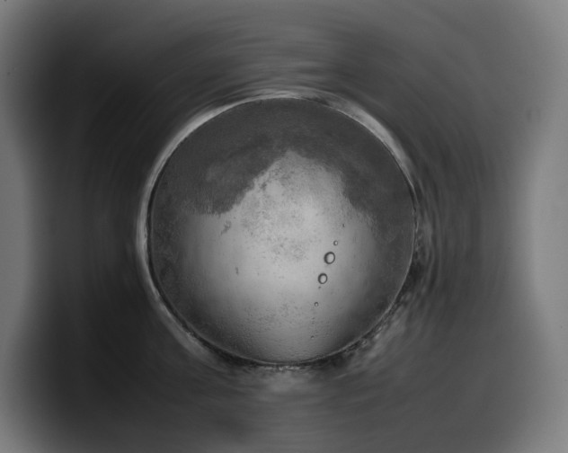 X0000100480811200806131229