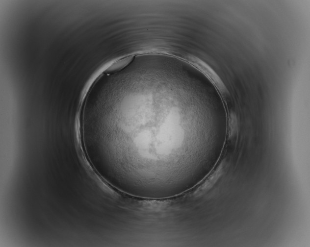 X0000100480812200806131229