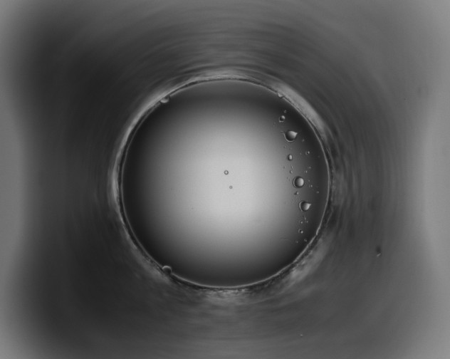X0000100480813200806131229