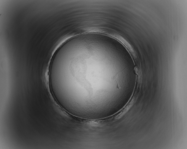 X0000100480814200806131229