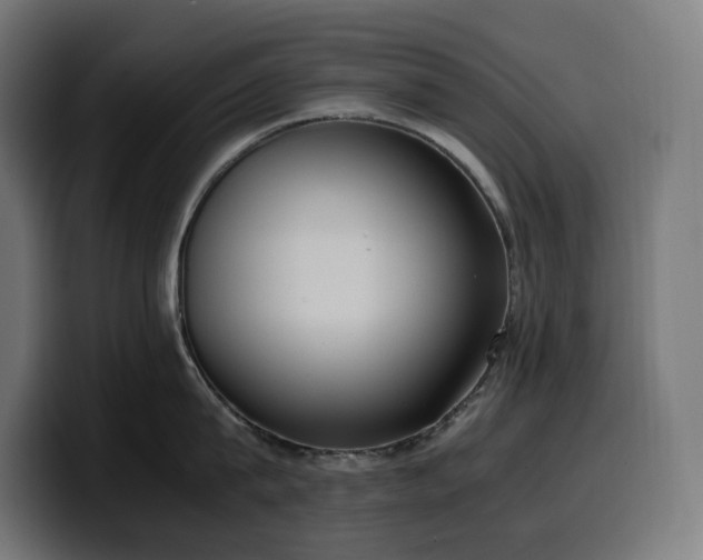 X0000100480815200806131229