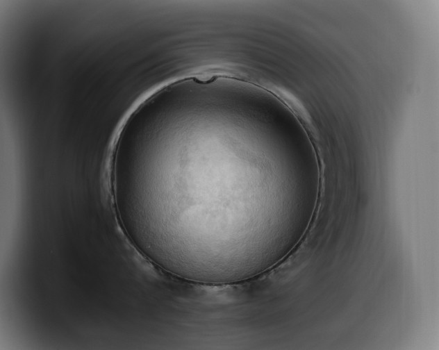 X0000100480816200806131229