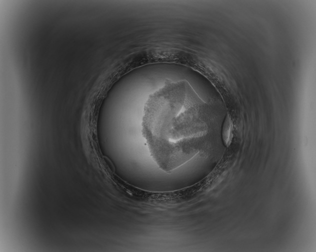 X0000100480817200806131228