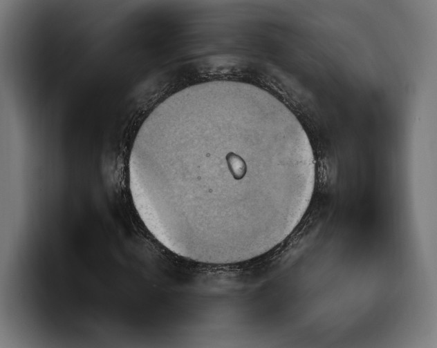 X0000100480820200806131228