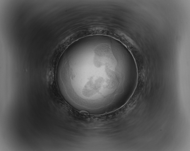 X0000100480821200806131228