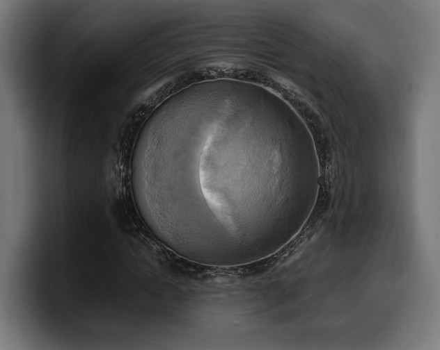 X0000100480822200806131228