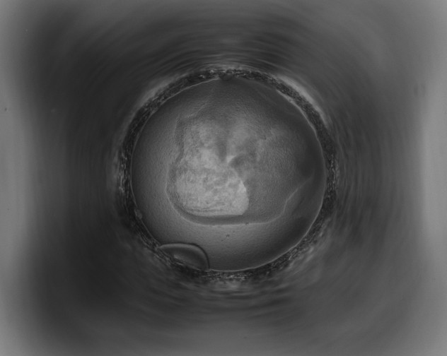 X0000100480823200806131228