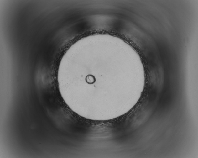 X0000100480824200806131228