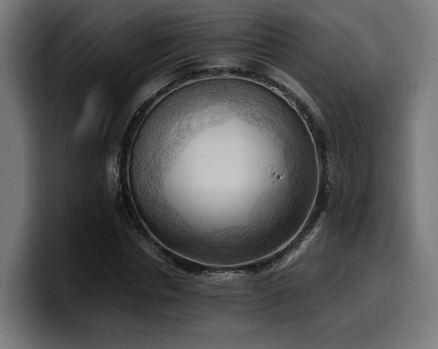 X0000100480826200806131228