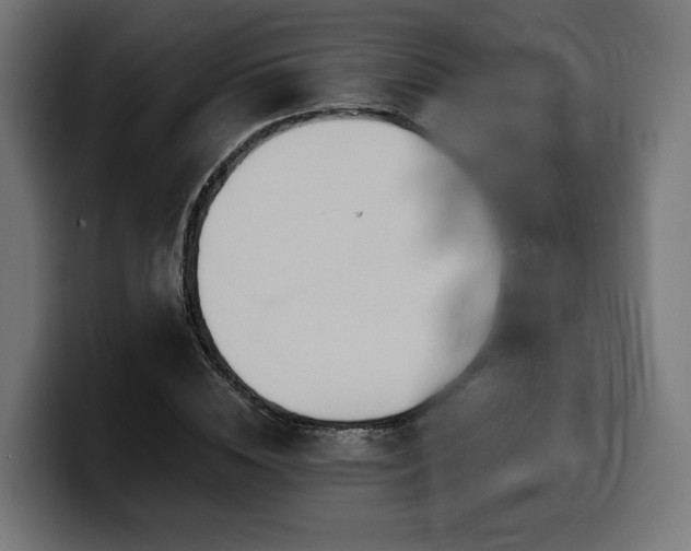 X0000100480828200806131228