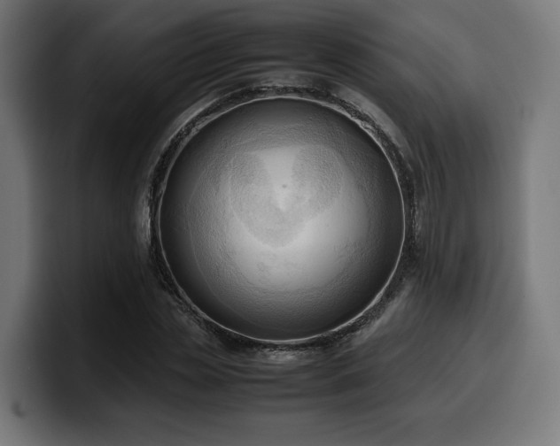 X0000100480829200806131228