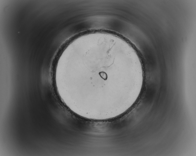 X0000100480832200806131228