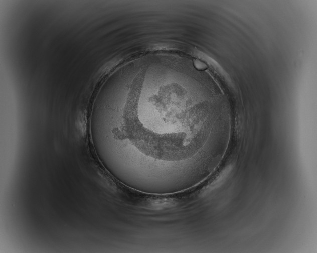 X0000100480833200806131228