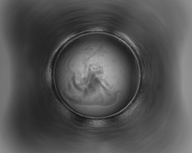 X0000100480835200806131228