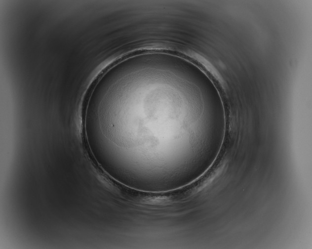 X0000100480837200806131228