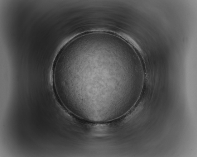 X0000100480839200806131228