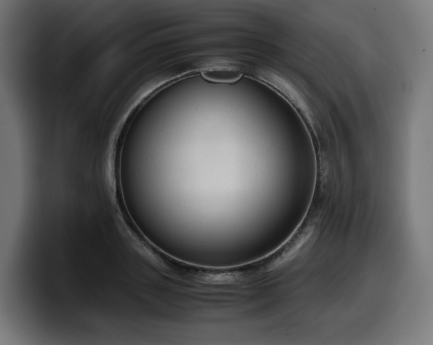 X0000100480843200806131228