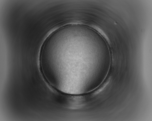 X0000100480845200806131228