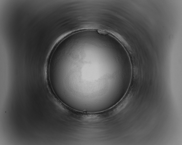 X0000100480846200806131228