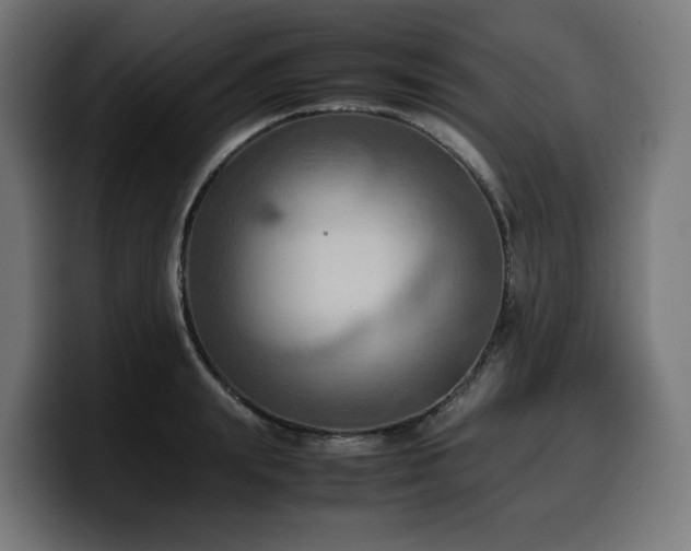 X0000100480847200806131228