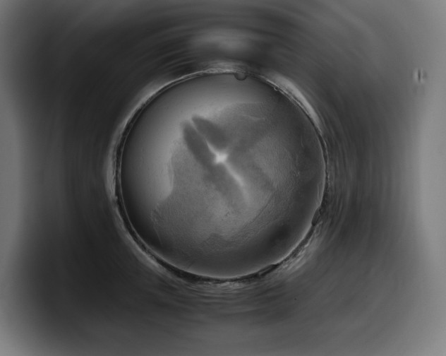 X0000100480851200806131228