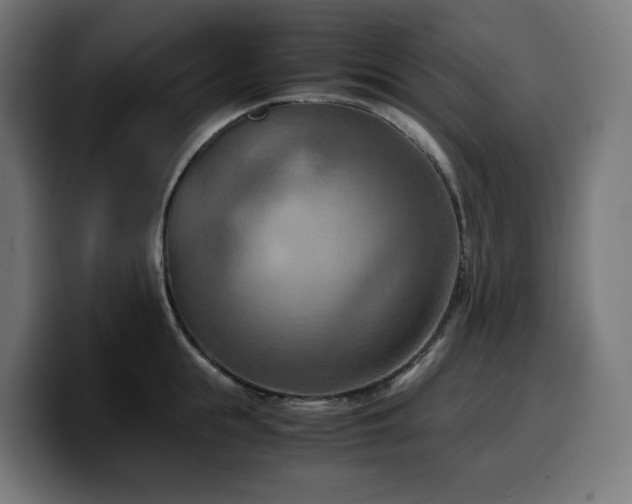 X0000100480855200806131228