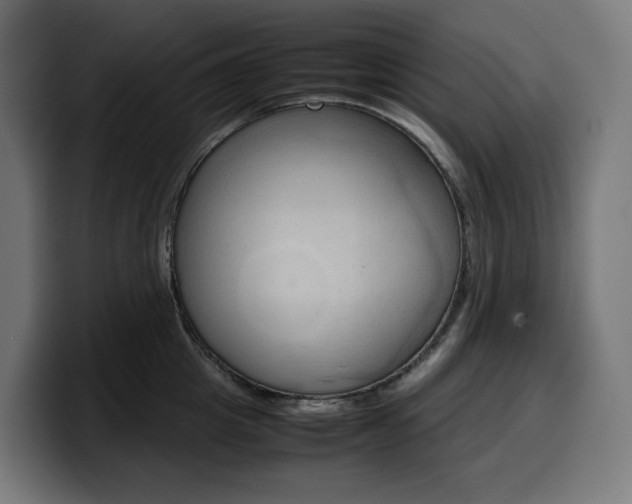 X0000100480857200806131228