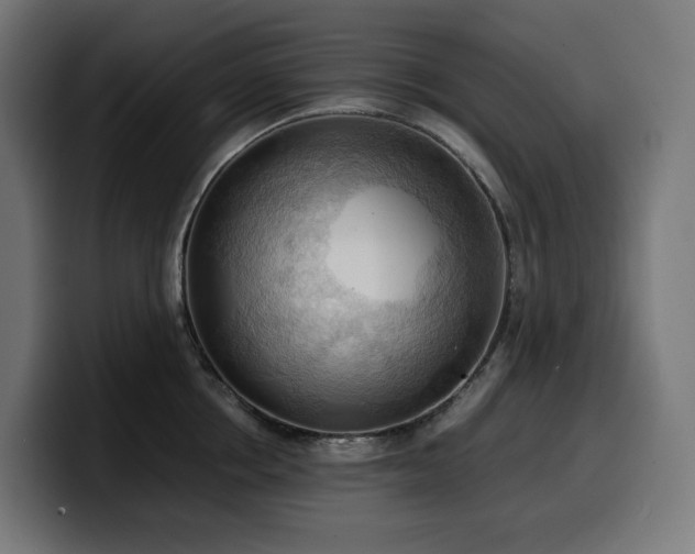 X0000100480858200806131229