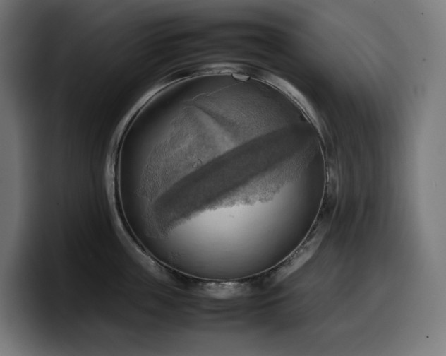 X0000100480859200806131229