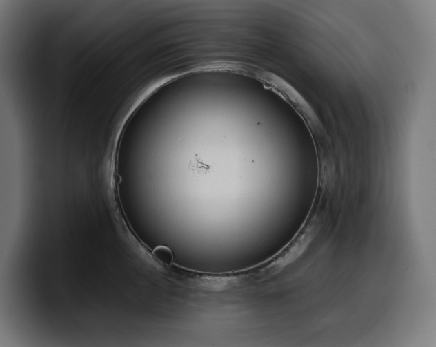 X0000100480860200806131229