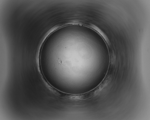 X0000100480861200806131229
