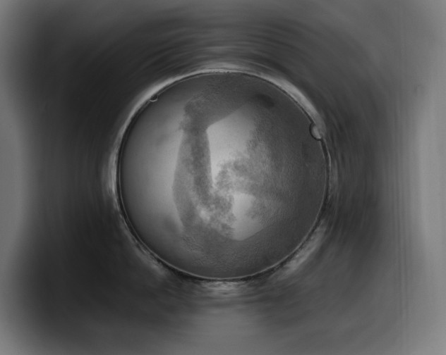 X0000100480862200806131229