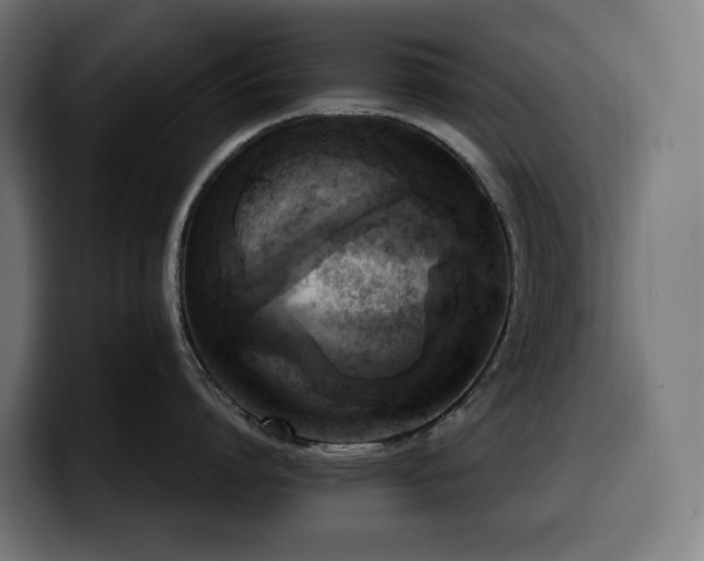 X0000100480864200806131229
