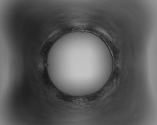 X0000100480869200806131228