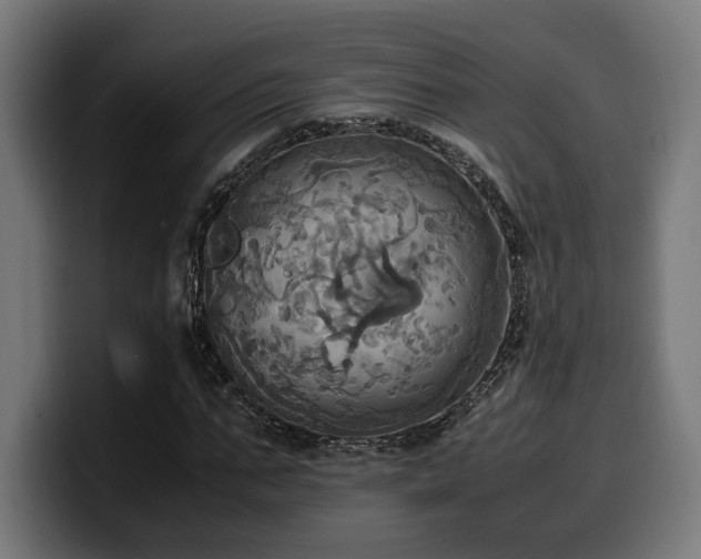 X0000100480871200806131228