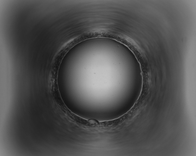X0000100480872200806131228