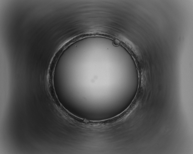X0000100480876200806131228