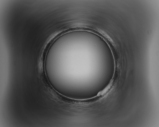 X0000100480877200806131228