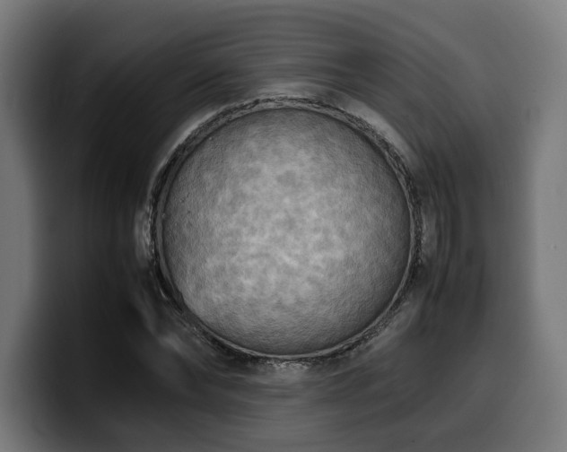 X0000100480878200806131228