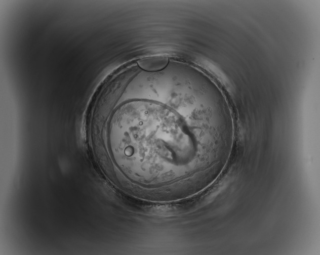 X0000100480883200806131228