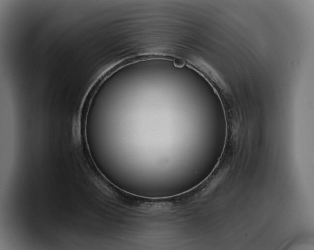 X0000100480884200806131228