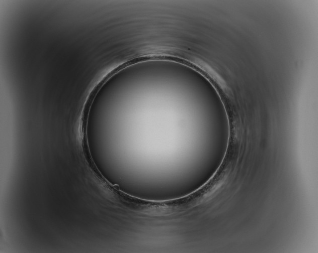 X0000100480885200806131228