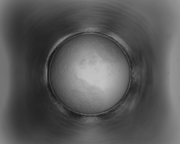 X0000100480886200806131228